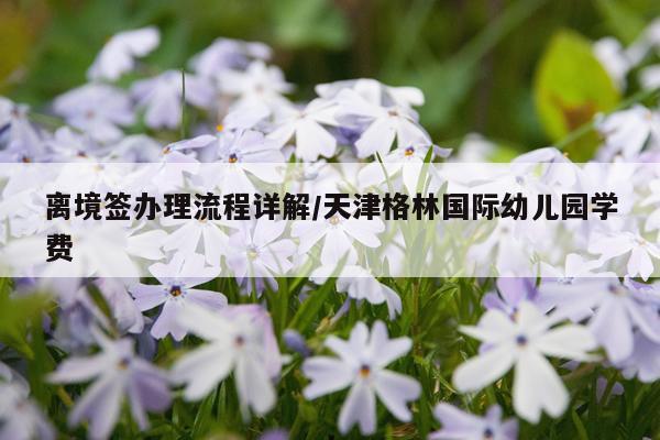 离境签办理流程详解/天津格林国际幼儿园学费