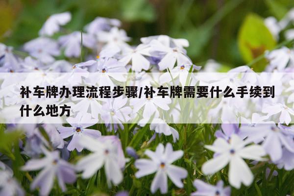 补车牌办理流程步骤/补车牌需要什么手续到什么地方