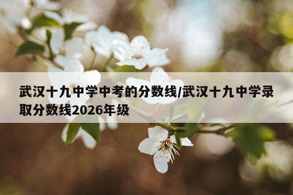 武汉十九中学中考的分数线/武汉十九中学录取分数线2026年级