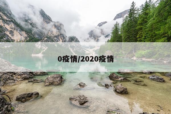 0疫情/2020疫情