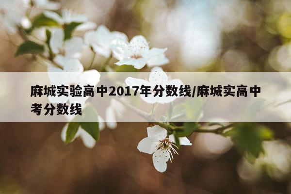 麻城实验高中2017年分数线/麻城实高中考分数线