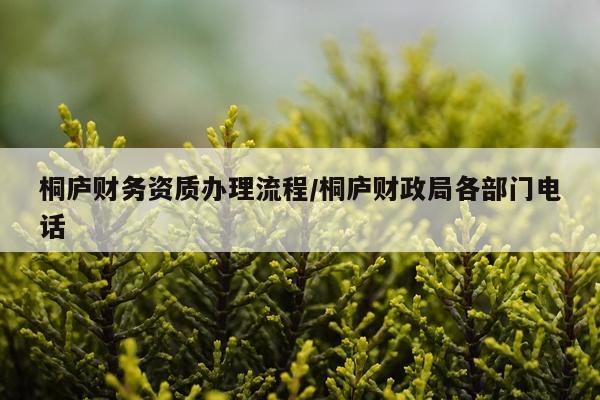 桐庐财务资质办理流程/桐庐财政局各部门电话
