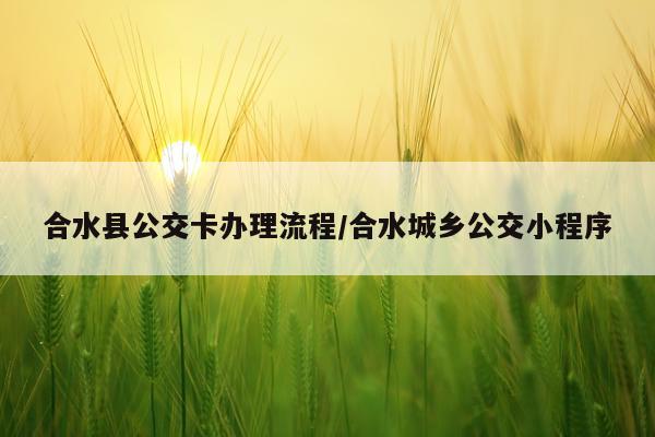 合水县公交卡办理流程/合水城乡公交小程序
