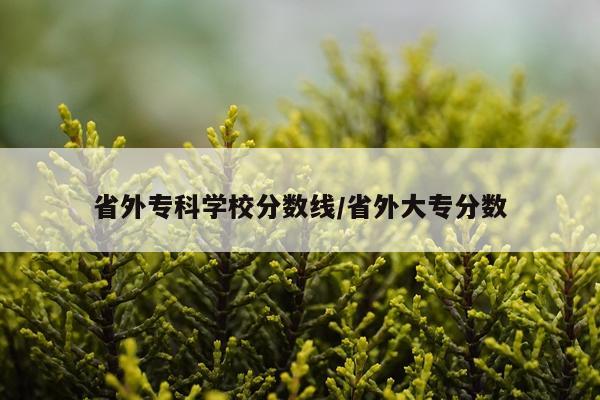 省外专科学校分数线/省外大专分数