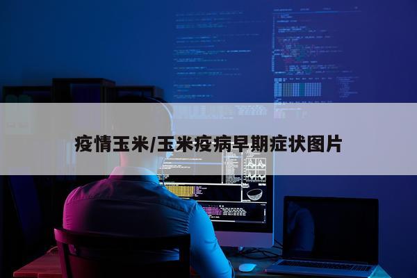 疫情玉米/玉米疫病早期症状图片