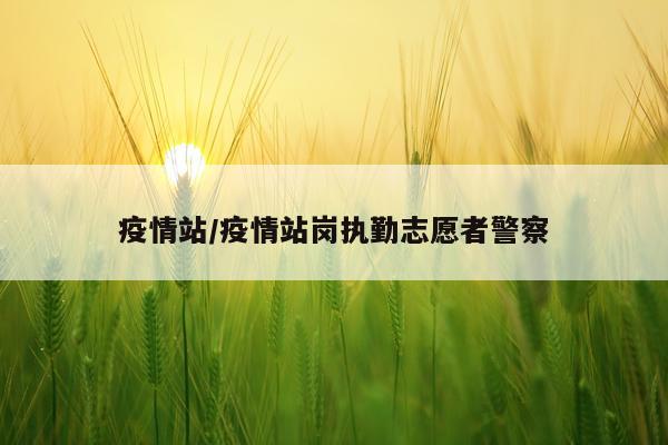 疫情站/疫情站岗执勤志愿者警察
