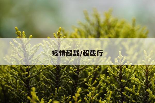 疫情超载/超载行