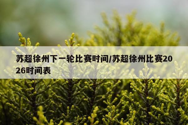 苏超徐州下一轮比赛时间/苏超徐州比赛2026时间表