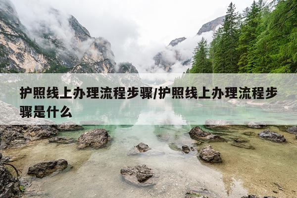 护照线上办理流程步骤/护照线上办理流程步骤是什么