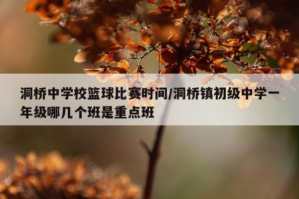 洞桥中学校篮球比赛时间/洞桥镇初级中学一年级哪几个班是重点班