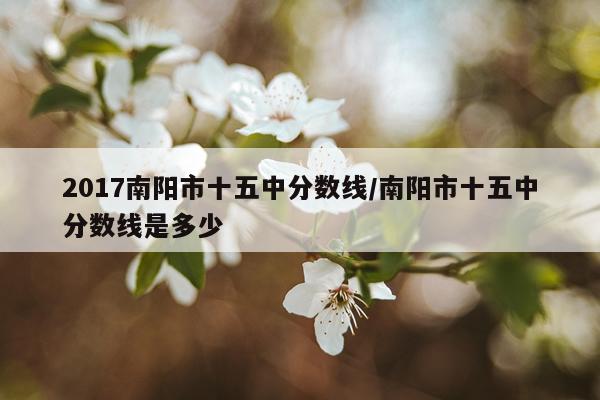 2017南阳市十五中分数线/南阳市十五中分数线是多少