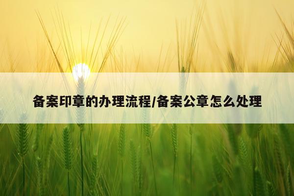 备案印章的办理流程/备案公章怎么处理