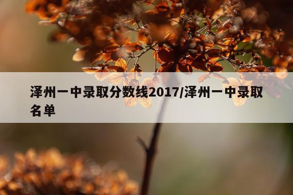 泽州一中录取分数线2017/泽州一中录取名单