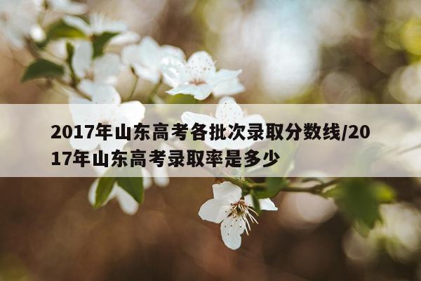 2017年山东高考各批次录取分数线/2017年山东高考录取率是多少