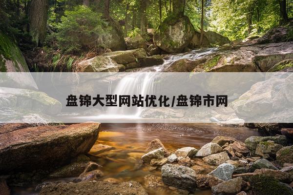盘锦大型网站优化/盘锦市网