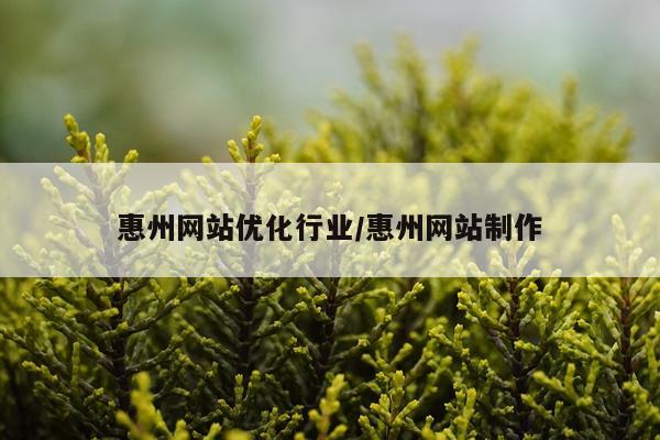 惠州网站优化行业/惠州网站制作