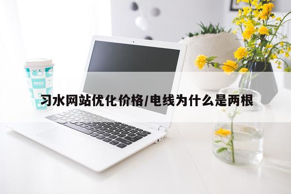 习水网站优化价格/电线为什么是两根