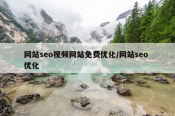 网站seo视频网站免费优化/网站seo 优化