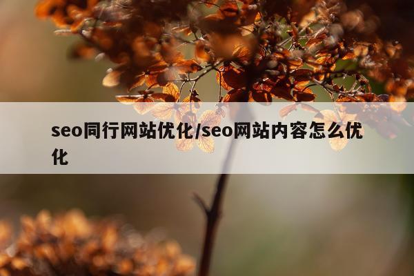 seo同行网站优化/seo网站内容怎么优化