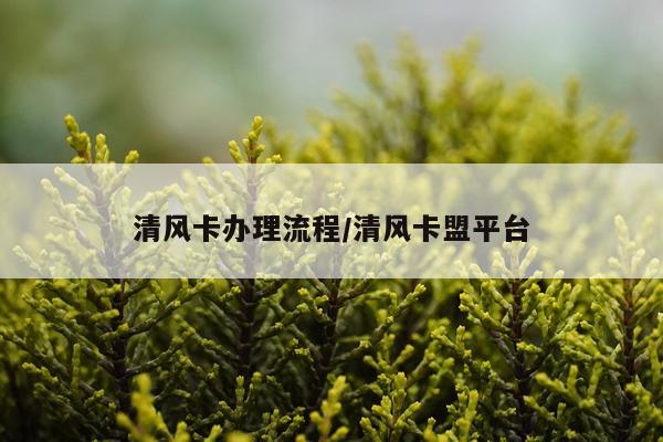 清风卡办理流程/清风卡盟平台