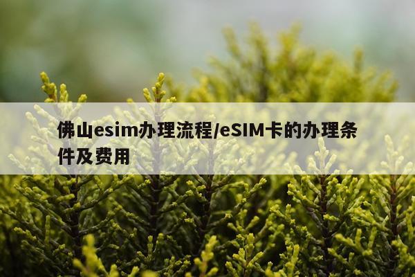 佛山esim办理流程/eSIM卡的办理条件及费用