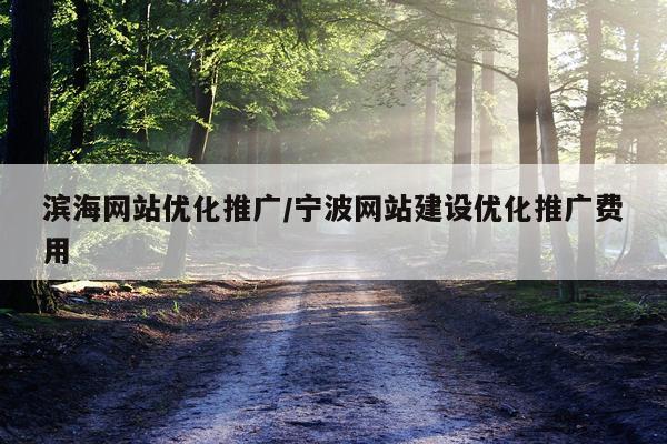 滨海网站优化推广/宁波网站建设优化推广费用