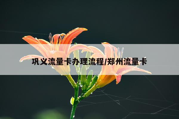 巩义流量卡办理流程/郑州流量卡