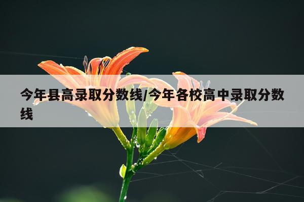 今年县高录取分数线/今年各校高中录取分数线
