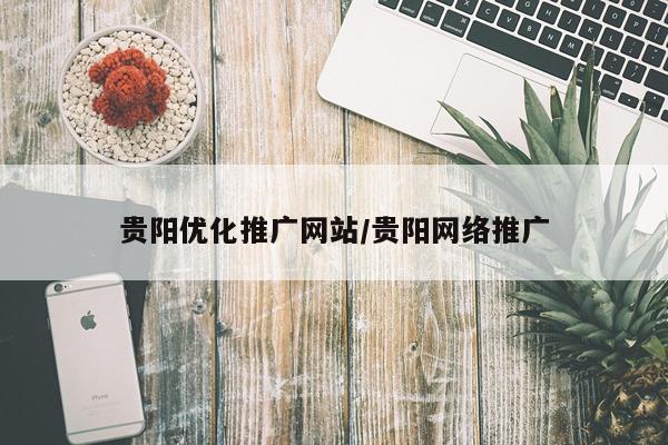 贵阳优化推广网站/贵阳网络推广