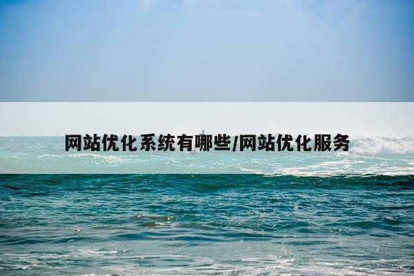网站优化系统有哪些/网站优化服务