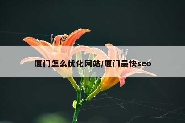 厦门怎么优化网站/厦门最快seo