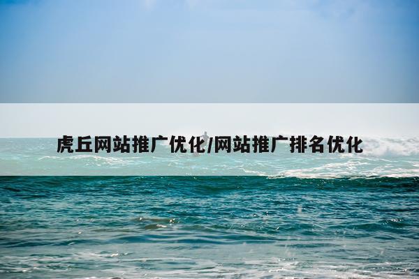 虎丘网站推广优化/网站推广排名优化