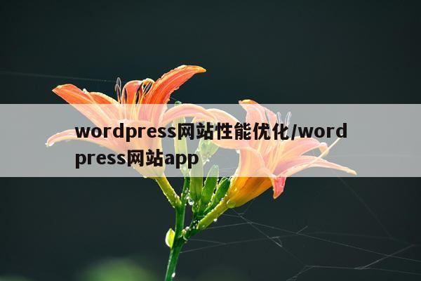 wordpress网站性能优化/wordpress网站app