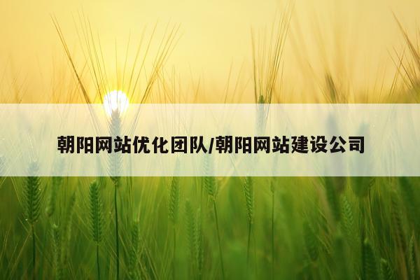 朝阳网站优化团队/朝阳网站建设公司