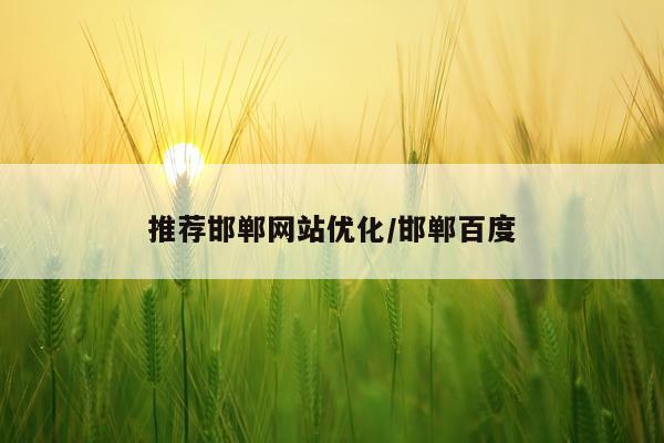 推荐邯郸网站优化/邯郸百度