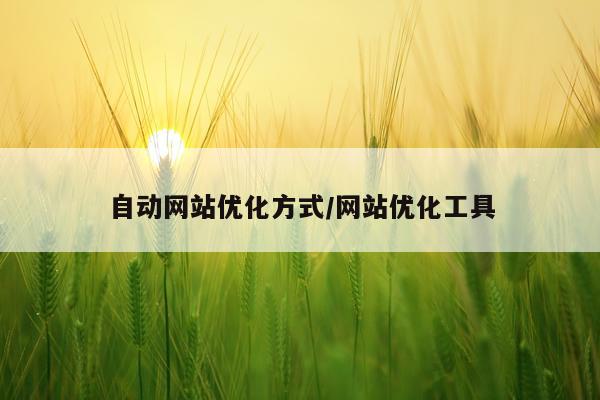 自动网站优化方式/网站优化工具