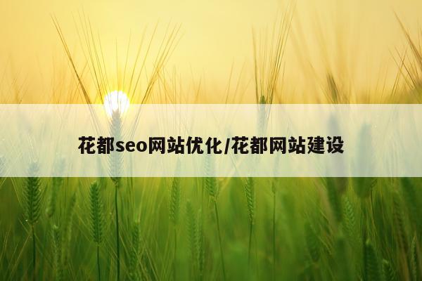 花都seo网站优化/花都网站建设