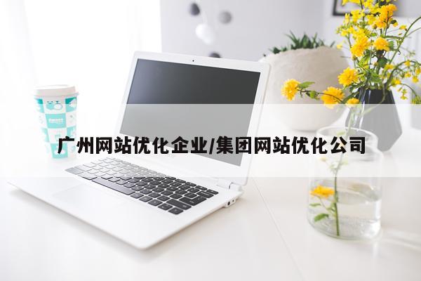 广州网站优化企业/集团网站优化公司