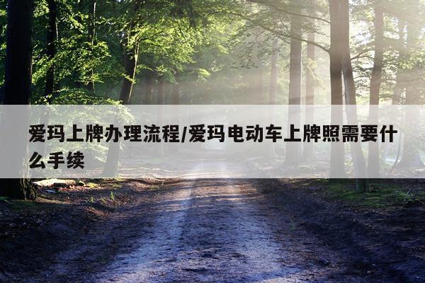 爱玛上牌办理流程/爱玛电动车上牌照需要什么手续