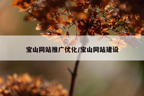 宝山网站推广优化/宝山网站建设