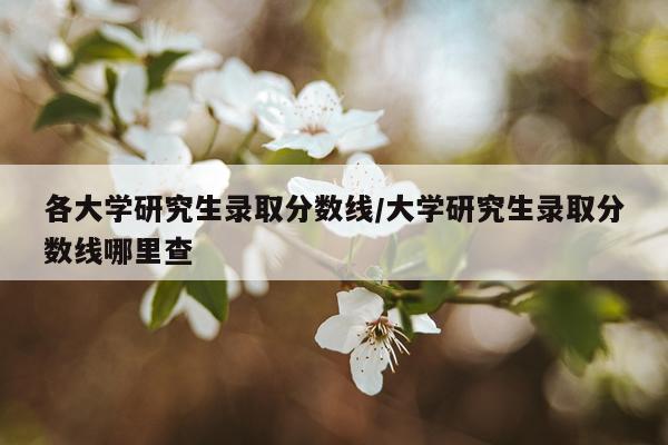 各大学研究生录取分数线/大学研究生录取分数线哪里查