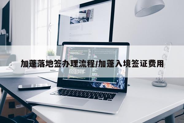 加蓬落地签办理流程/加蓬入境签证费用