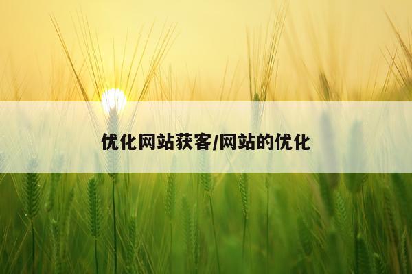 优化网站获客/网站的优化
