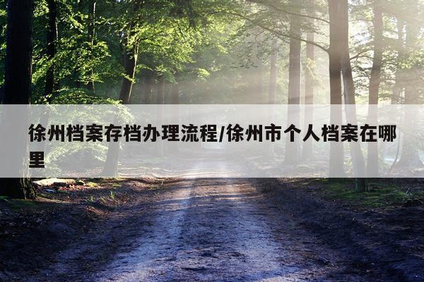 徐州档案存档办理流程/徐州市个人档案在哪里