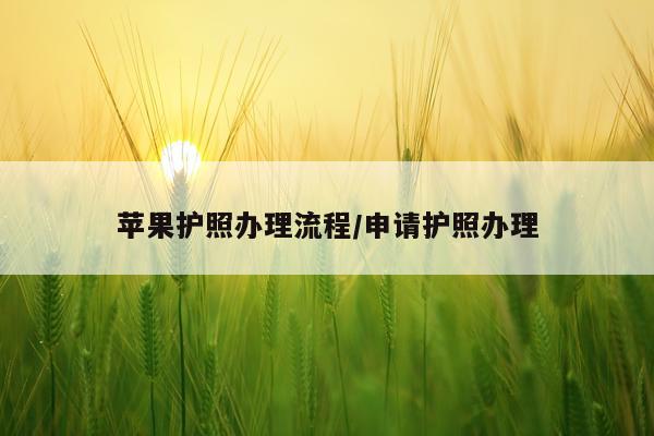 苹果护照办理流程/申请护照办理