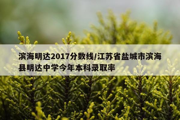 滨海明达2017分数线/江苏省盐城市滨海县明达中学今年本科录取率