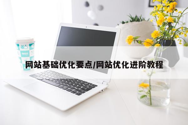 网站基础优化要点/网站优化进阶教程