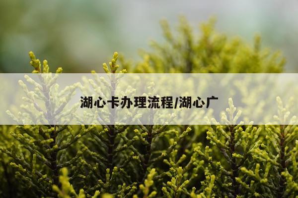 湖心卡办理流程/湖心广