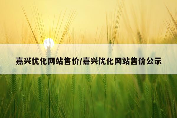 嘉兴优化网站售价/嘉兴优化网站售价公示