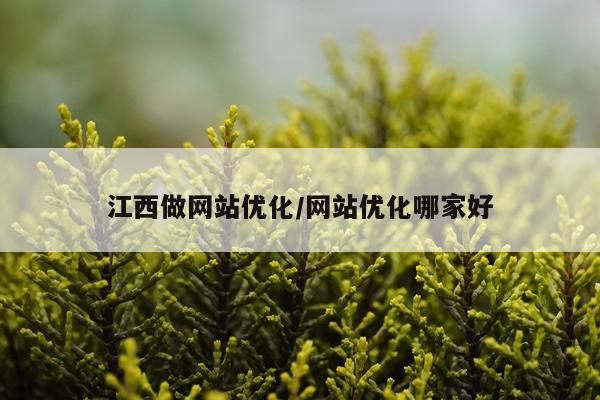 江西做网站优化/网站优化哪家好